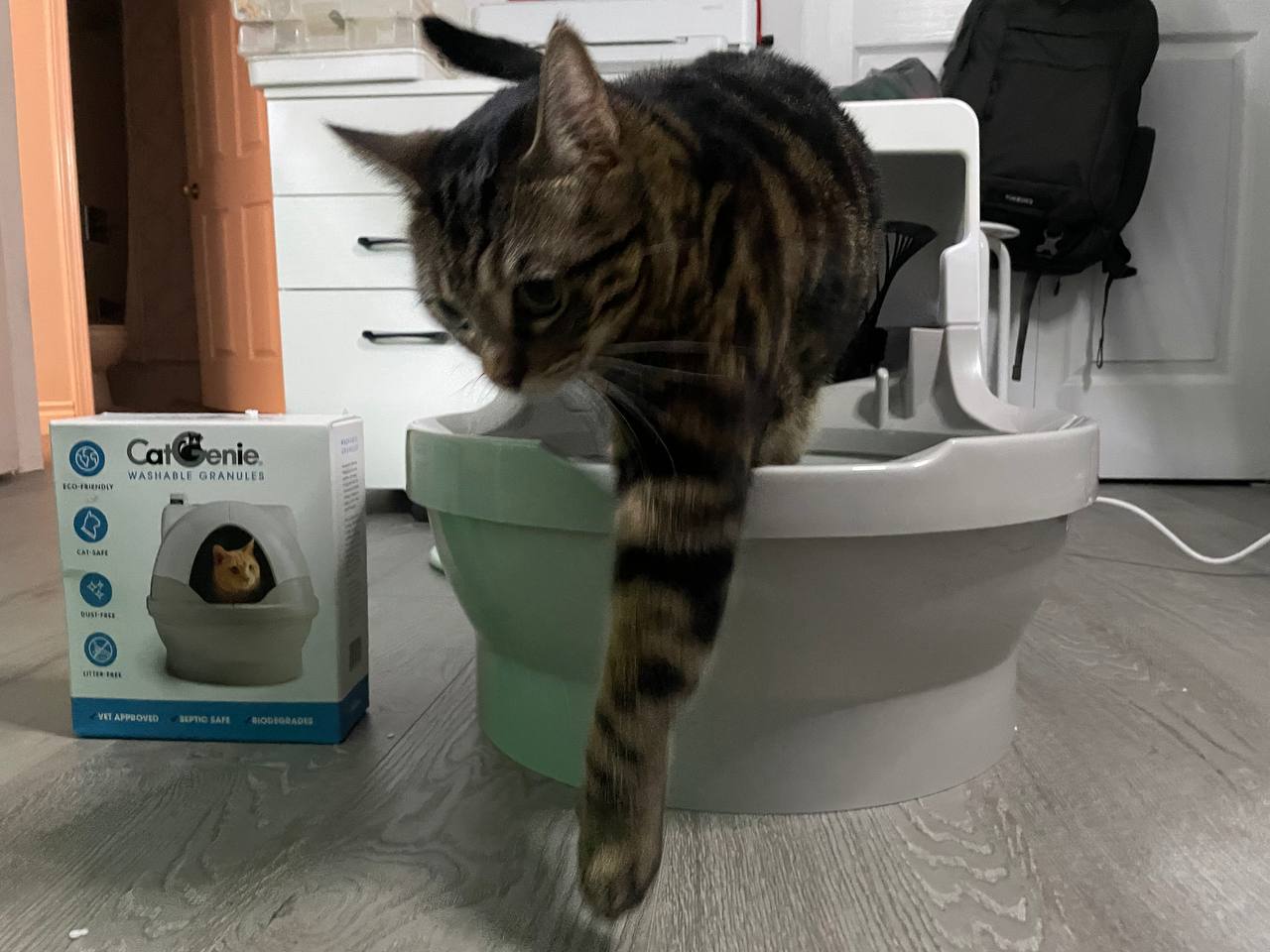 CatGenie Self-Flushing Cat Box Review TechnoMEOW