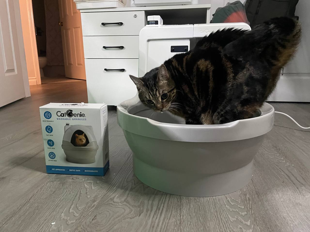 My cat is using Cat Genie A.I. litter box