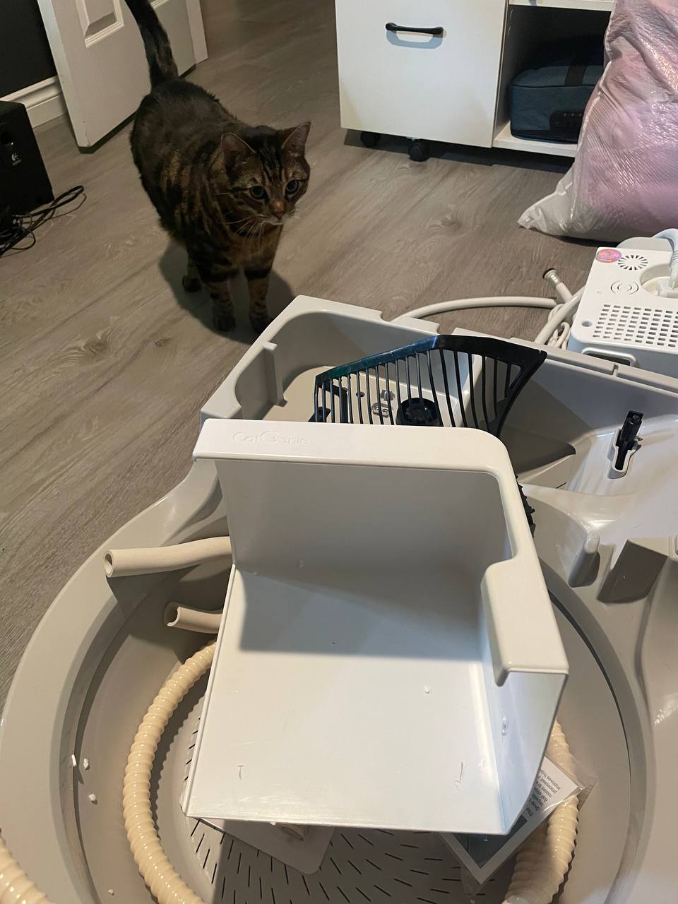 My cat watching how I install Cat Genie A.I. litter box