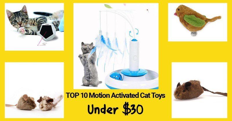 11 electronic motion activated cat toys