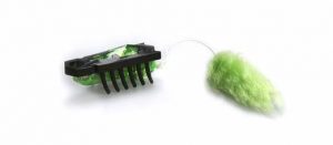 HEXBUG nano robotic electronic cat toy in green color.