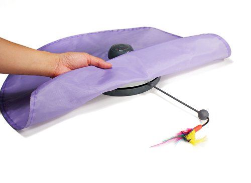 SmartyKat Hot Pursuit motion toy with moving prey in purple color.
