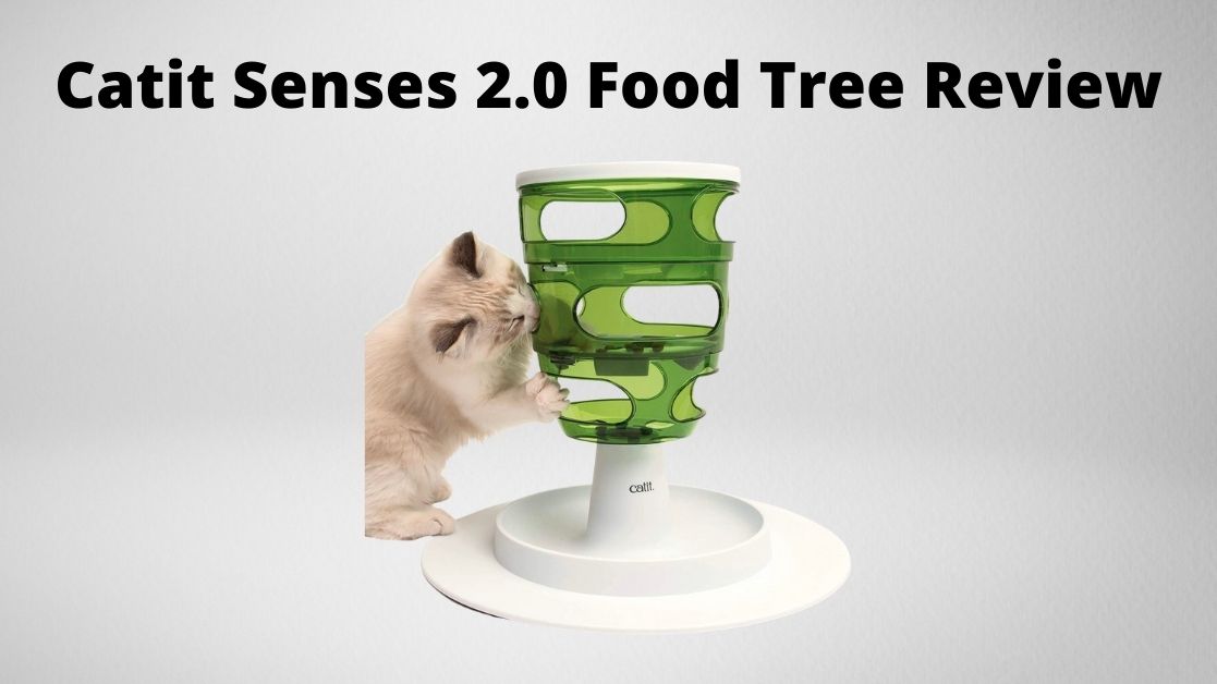 catit tree review featured image