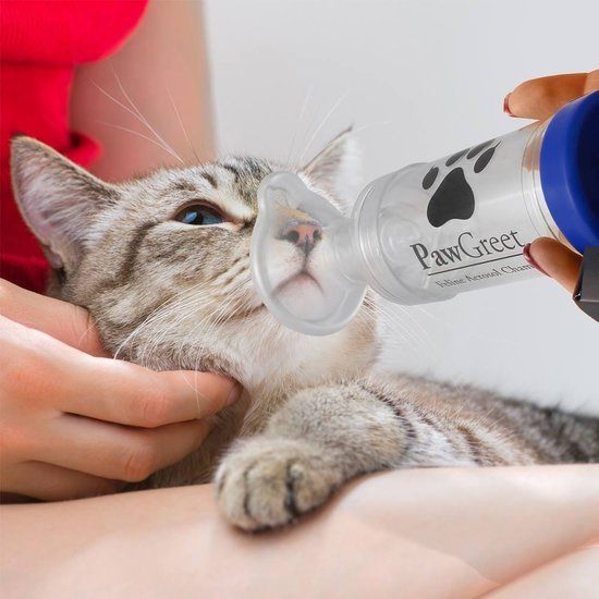 Pawgreet Cat Asthma Inhaler