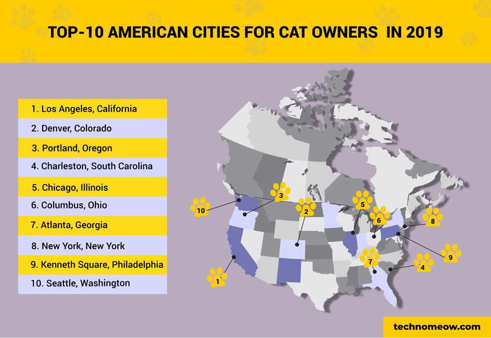 top 10 cat cities infographic