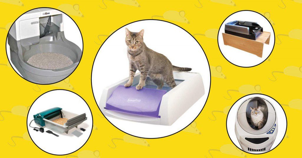 self cleaning and scoop free cat litter boxes