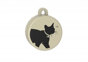 cat tailer gps tag