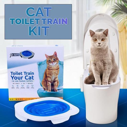 Cat is using Yagamii Cat Toilet Training Kit
