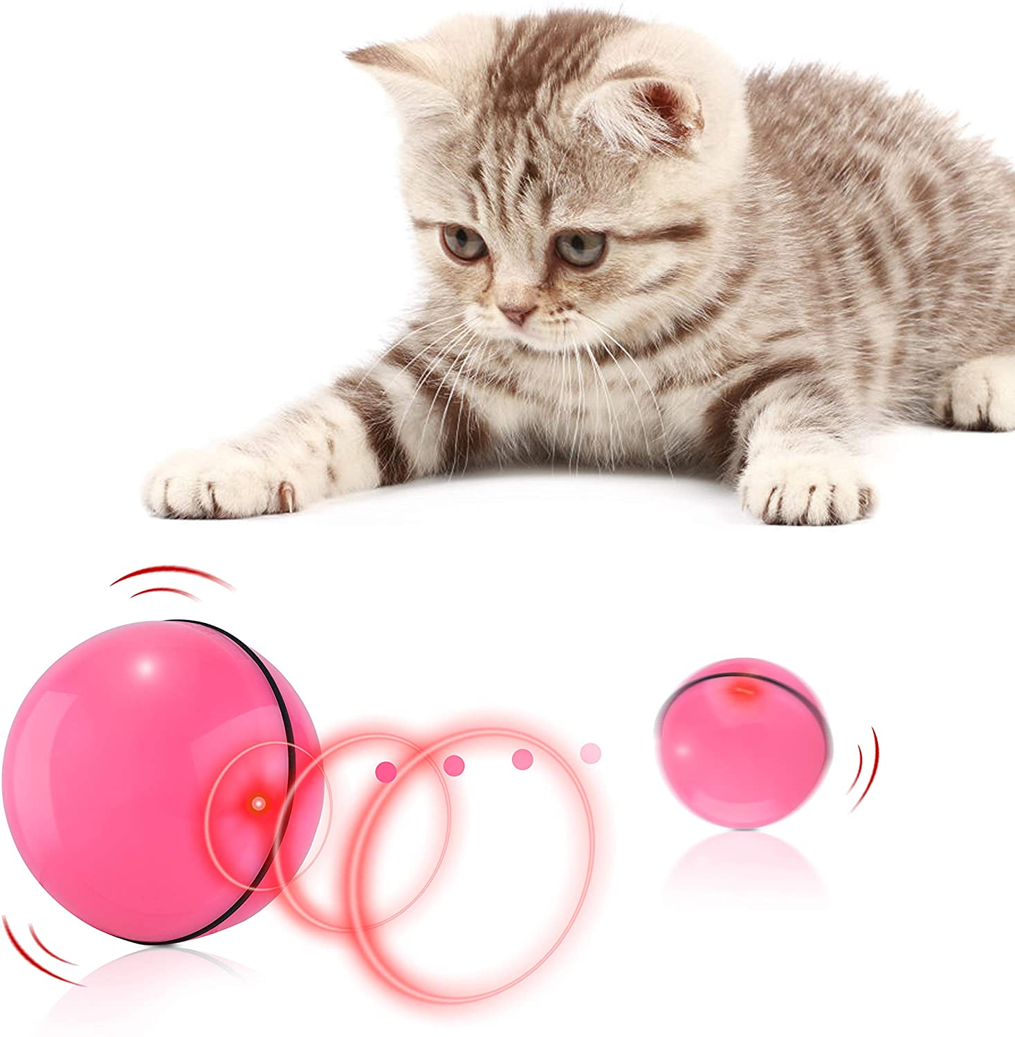 Cat is plating with motion activated interactive cat ball