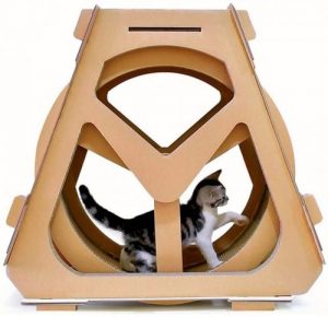 Ferris cat wheel for kittens.