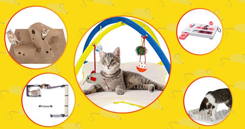 There are 5 best activity cat centers on the image but 10 in the article.