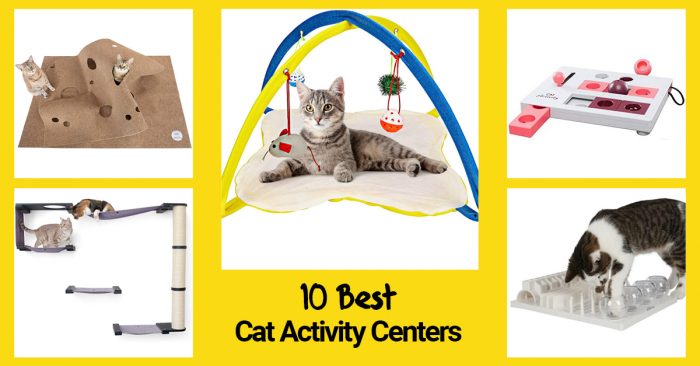 10 best cat activity centers subheading.