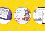 3 best Cat DNA kit available.