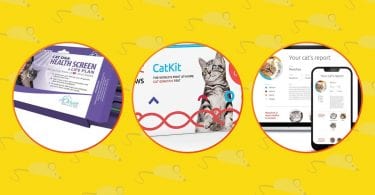 3 best Cat DNA kit available.
