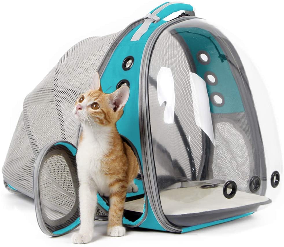 AStronaut cat bubble backpack