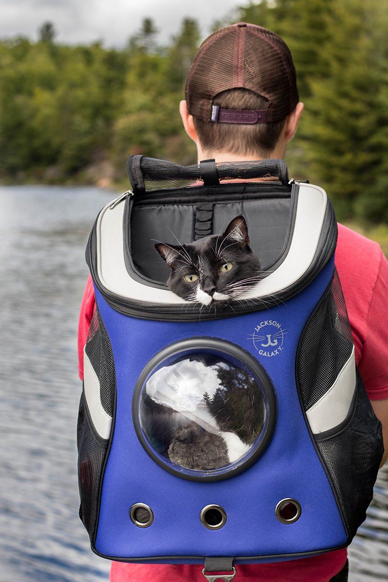Wearing Jackson Galaxy cat backpack with bubble window