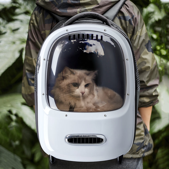 Hiking with PETKIT cat backpack