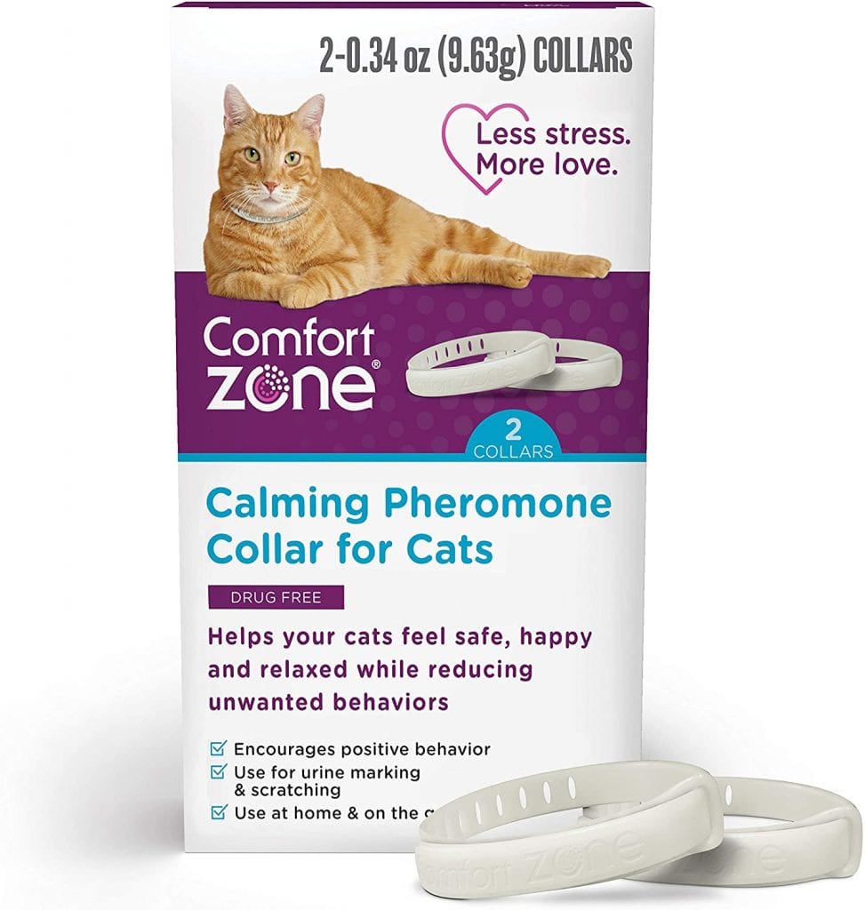 Cat resting with Comfort Zone Calming Collar