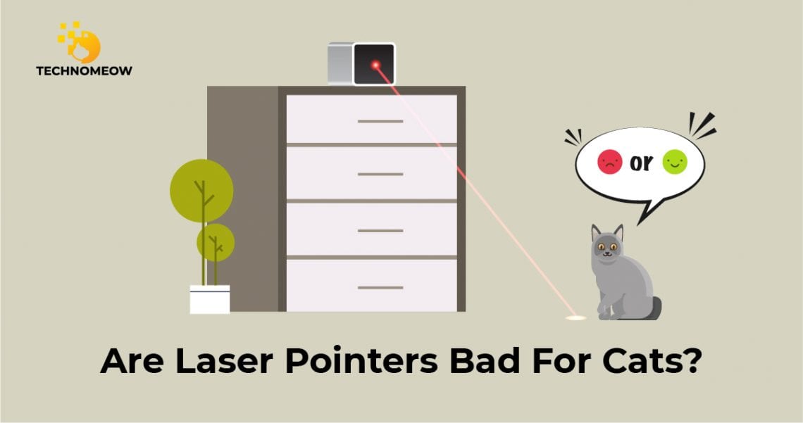 Cat near laser pointer