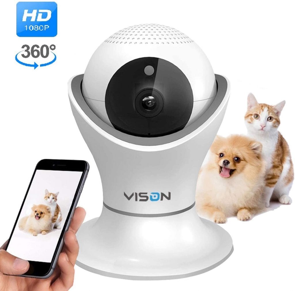 Cat and dog having their picture taken using Vison Indoor Camera for Cats