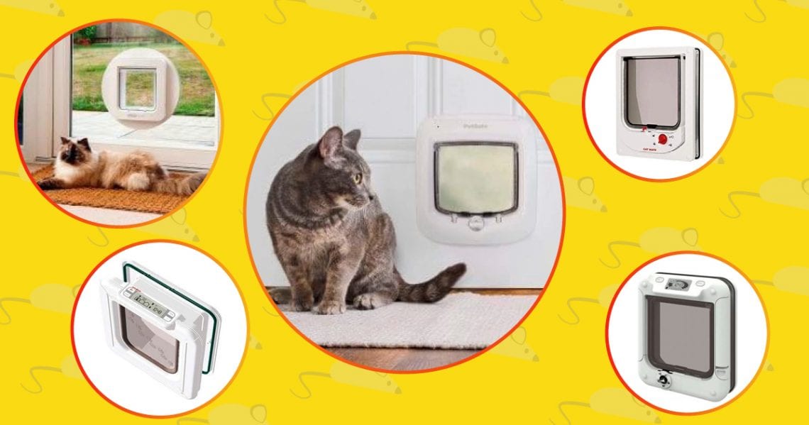 5 best cat automatic doors
