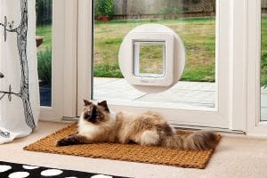 Cat resting on a carpet with sureflap's automatic flap cat door