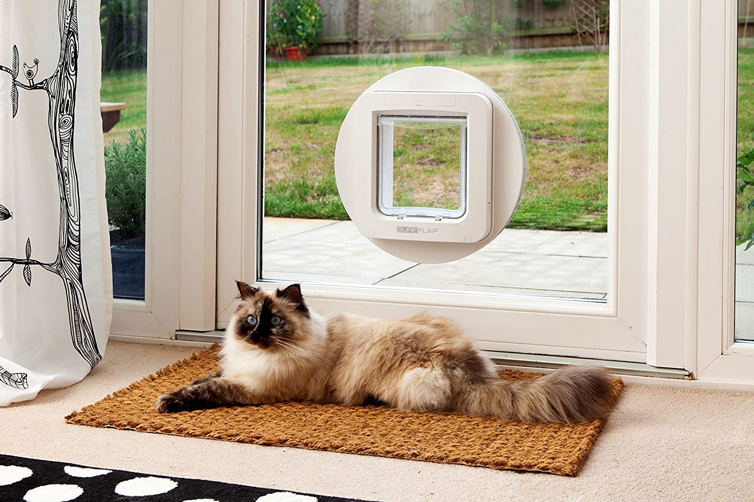 5 Best Automatic Cat Doors In 2026 | TechnoMEOW