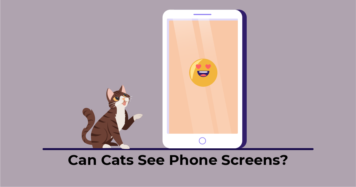 can cats and dogs see phone screens