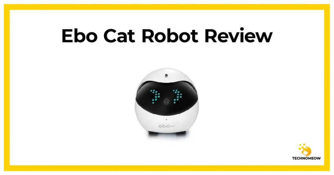 Atlantic Produktion Motivere Ebo Cat Robot Review: Is It Fun For Cats? | TechnoMEOW