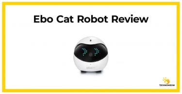 Ebo Cat Robot Review