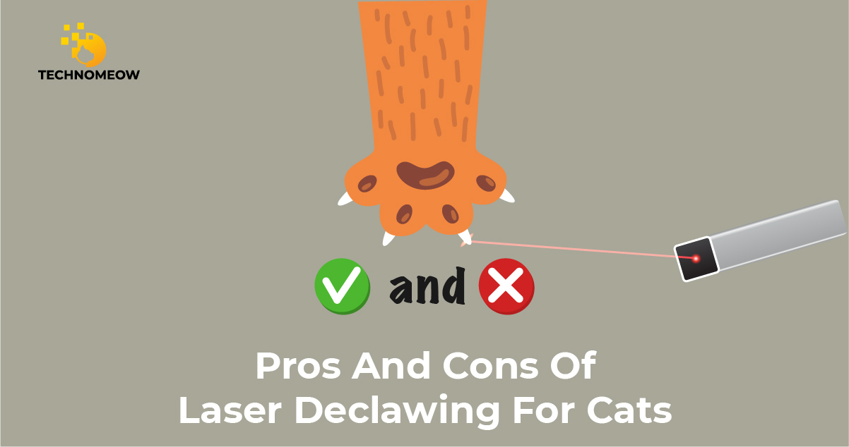 Pros and cons of laser declawing