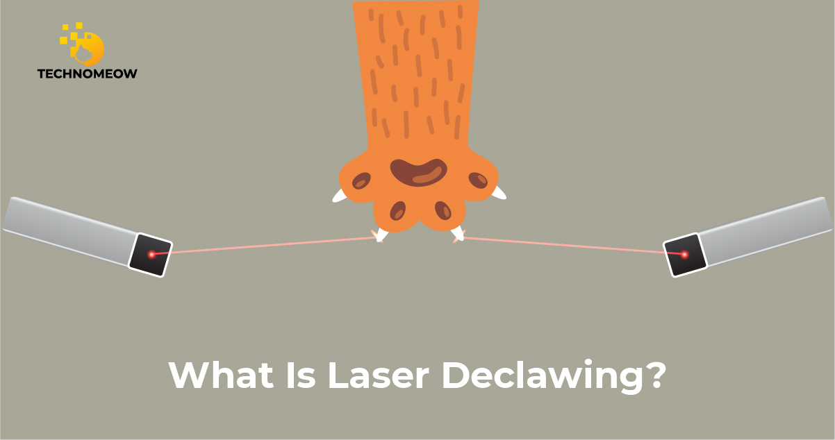 Laser declawing explanation