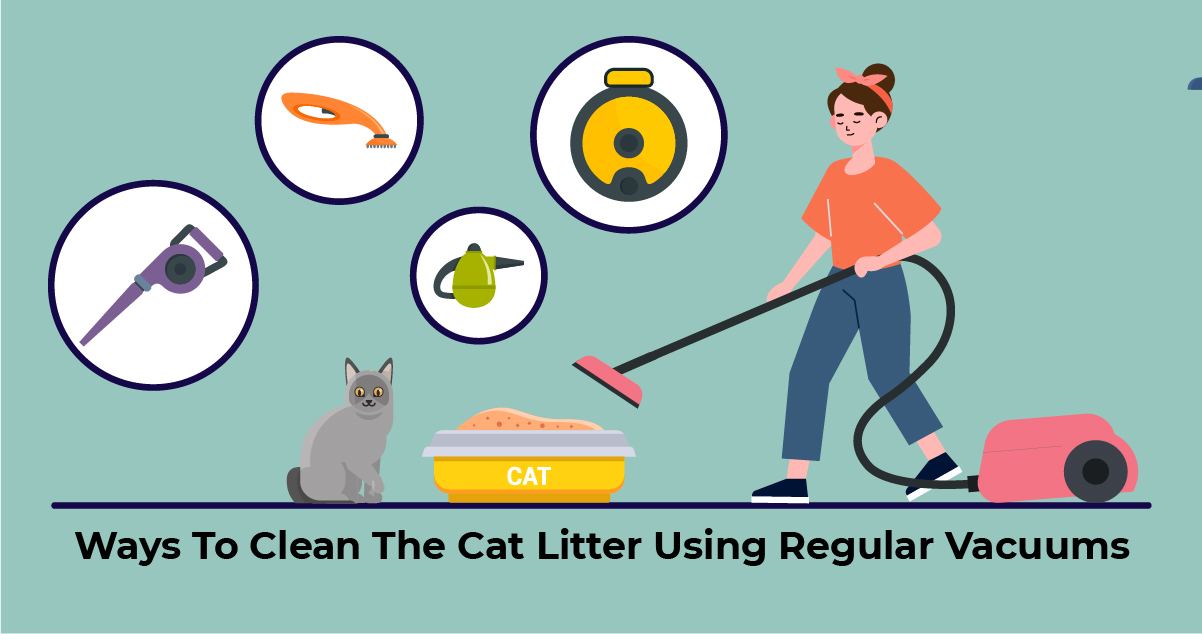 Showcasing different way to vacuum cat litter