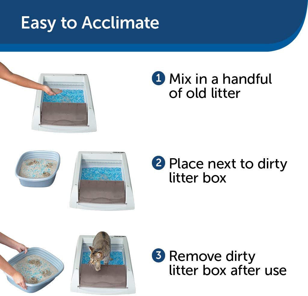 How Petsafe Scoop Free litter is cleaning itself