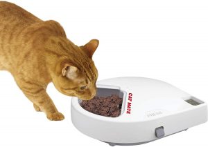 Cat eating food on Cat Mate C500 Best automatic cat food dispenser