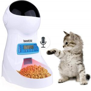 A cat looking at Iseebiz automatic cat feeder