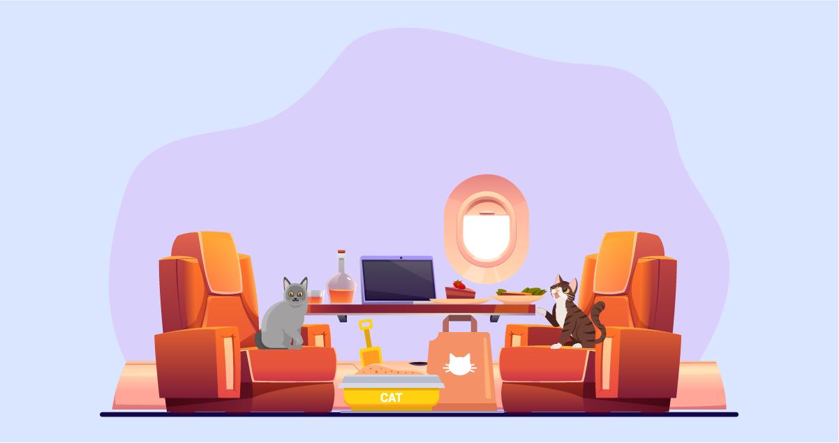 Cat litter insider the airplane cabin