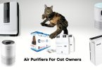 Air purifiers for cat owners