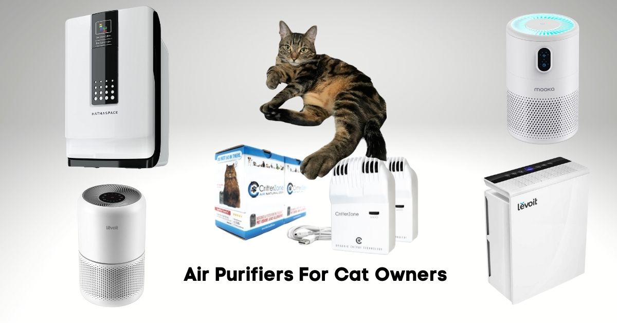 10 Best Air Purifiers For Cat Allergens in 2024