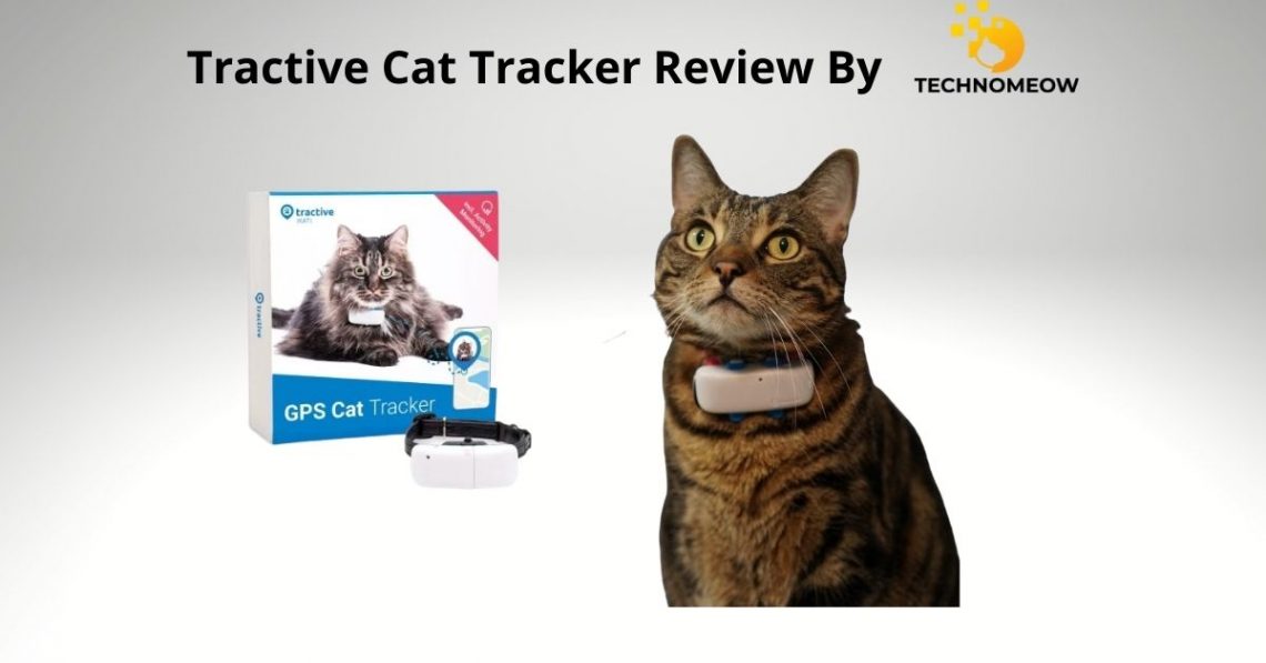 Tractive cat GPS tracker review by Technomeow