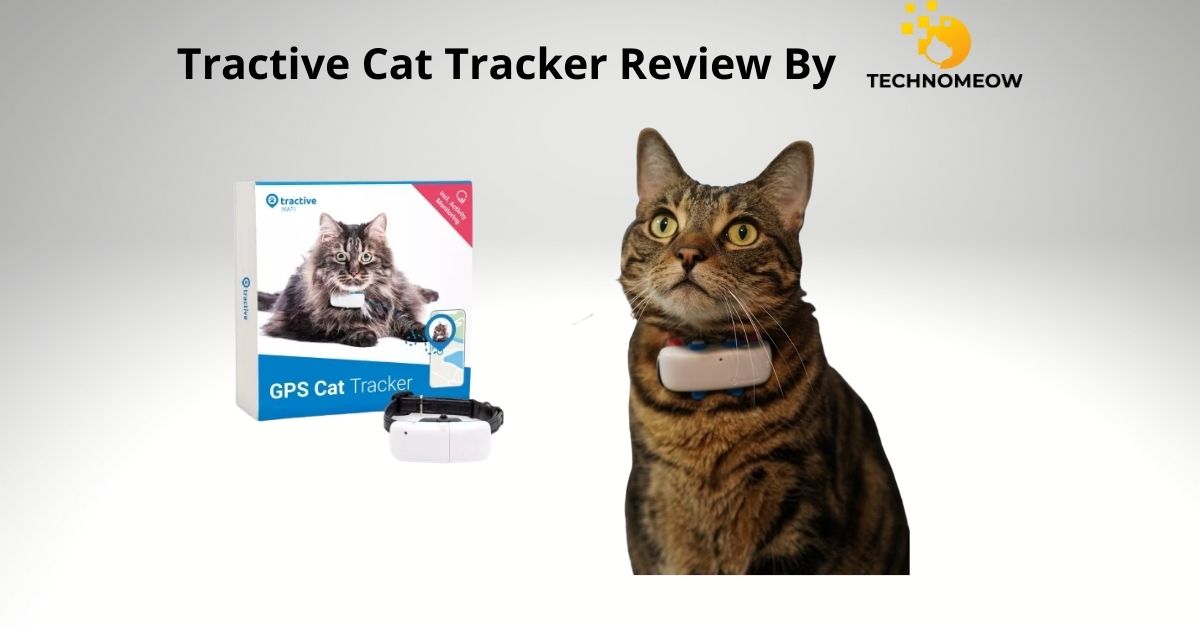Tractive Cat GPS Tracker Review: Can This Be Used For Cats?