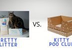 Pretty Litter Vs. Kitty Poo Club