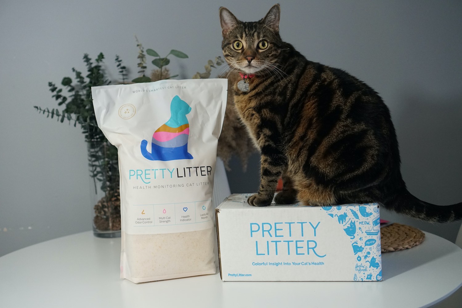 Pretty Litter package with my cat on it