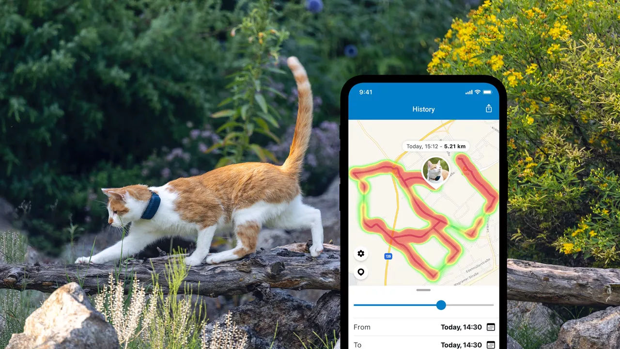 Virtual fence feature on Tractive cat GPS tracker