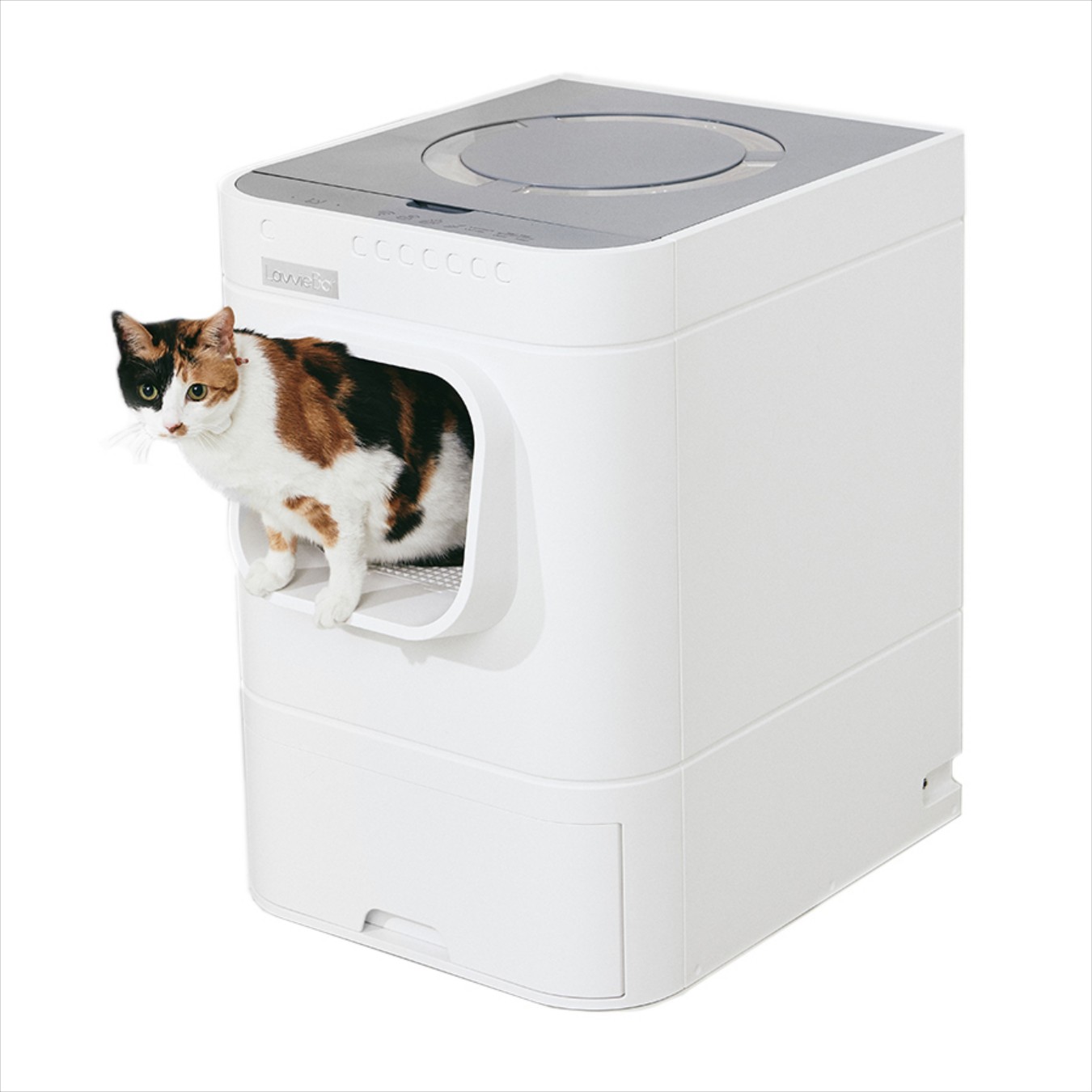 Lavviebot S Self-Cleaning Litter Box Smart Features