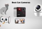 Various cat cameras