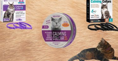 Cat calming collars with my cat wearing one of them