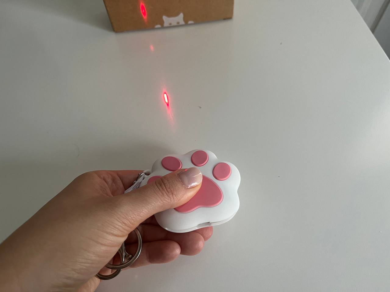Testing Smarty Pear's laser toy for cats