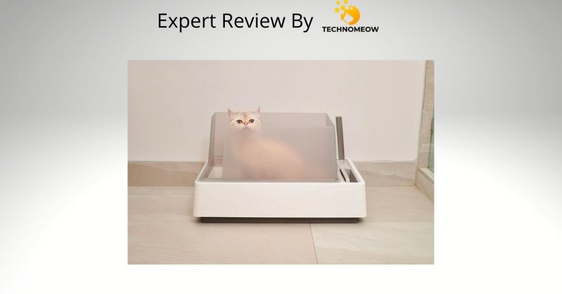 Tuft+Paw litter box product review featured image