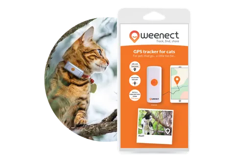 Weenect cats 2 cat GPS collar